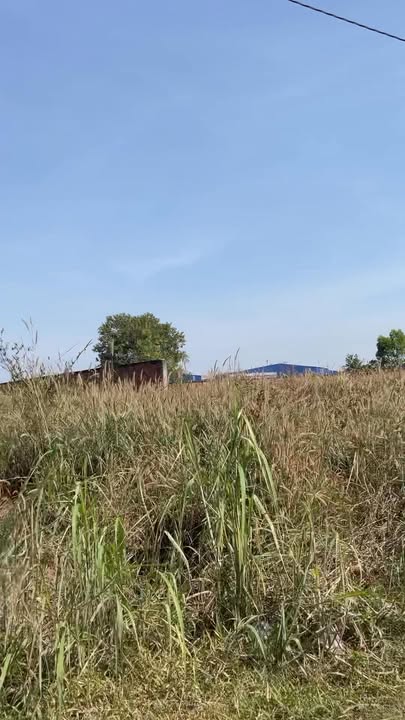 Đất nền Bến Cát 675m² giá 2 tỷ - Mặt tiền đường DH 620, cơ hội đầu tư lớn!