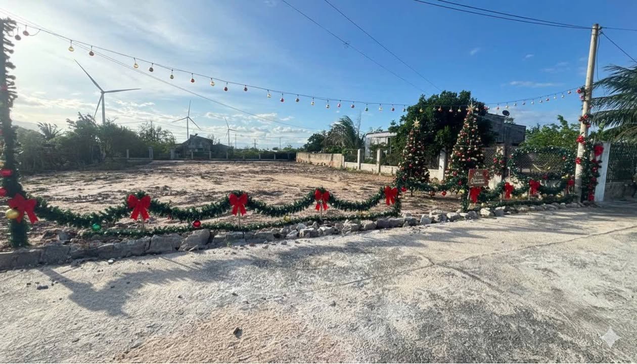 Đất thổ cư 115m² Phước Minh, Thuận Nam chỉ 490 triệu - Đầu tư sinh lời ngay!