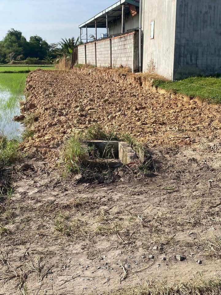 Lô đất đẹp Tân Hòa, Long An 195m² giá chỉ 870 triệu - Đầu tư sinh lời ngay!