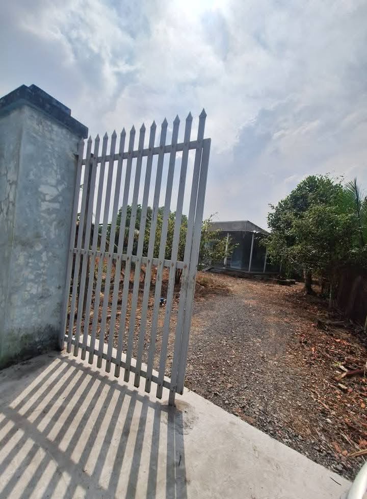 Đất vườn 2000m² tại Mỹ Bình, Tân Trụ giá 7.5 tỷ - Không thể bỏ lỡ!