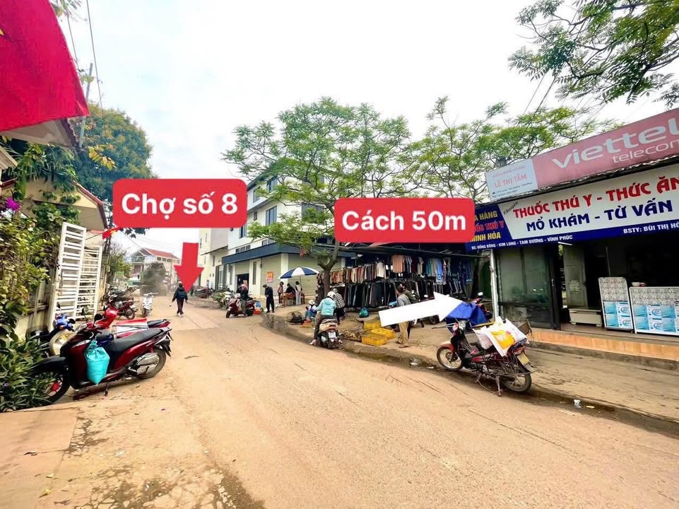 Đất nền Kim Long, Tam Dương 107m² giá 1.3 tỷ - Mặt tiền chợ số 8!