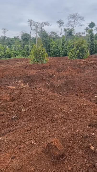 Đất nền 3 sào xã Ea Kiết giá chỉ 900 triệu - Sổ đỏ chính chủ, đầu tư sinh lời!