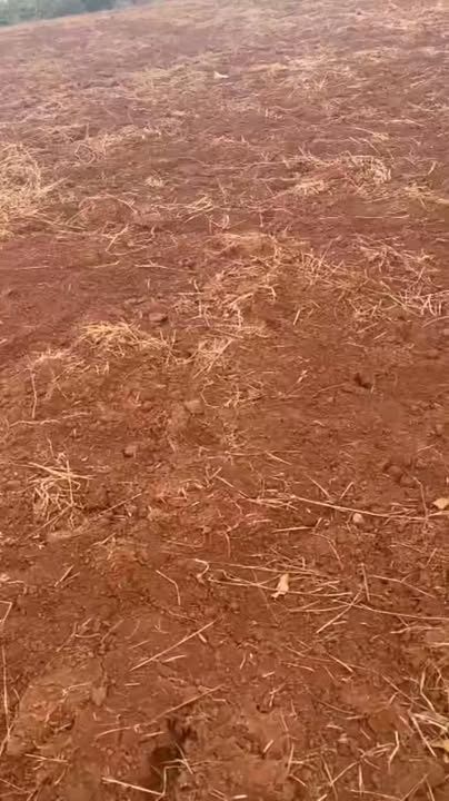 Đất nền tại xã Krông Buk, Đắk Lắk 40.000m² giá 1.68 tỷ - Đường bê tông rộng rãi!