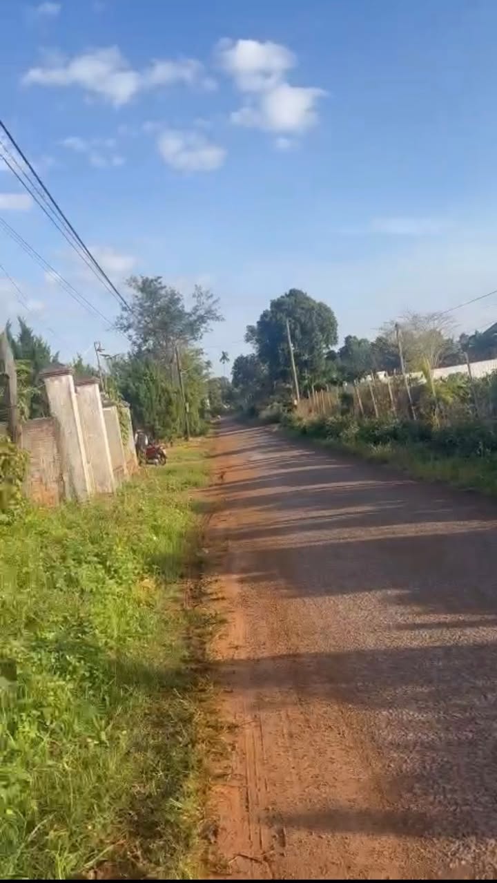 Bán lô đất mặt tiền đường Lý Nam Đế, Chư Sê, 1062m² - Cơ hội đầu tư không thể bỏ lỡ!