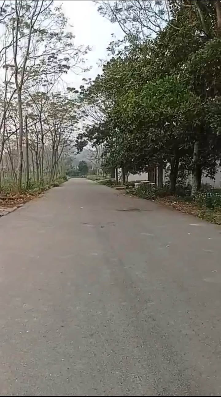 Đất nền Nam Sơn, Tam Điệp, Ninh Bình 100m² giá 1 tỷ - Cơ hội đầu tư hấp dẫn!