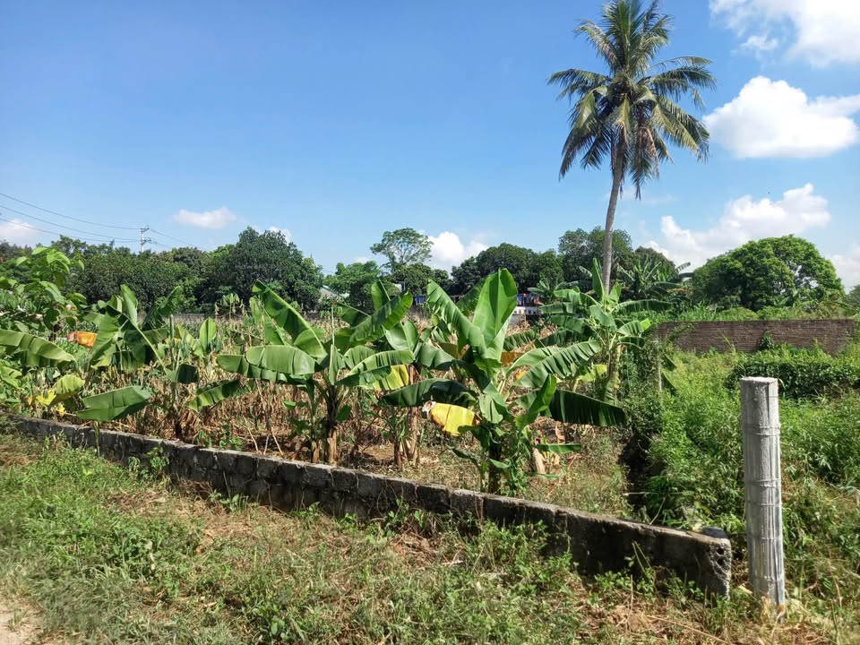 Đất nền 400m² tại đường liên xã, Hội Tiến, Nho Quan - Cơ hội đầu tư hiếm có chỉ 1.1 tỷ!