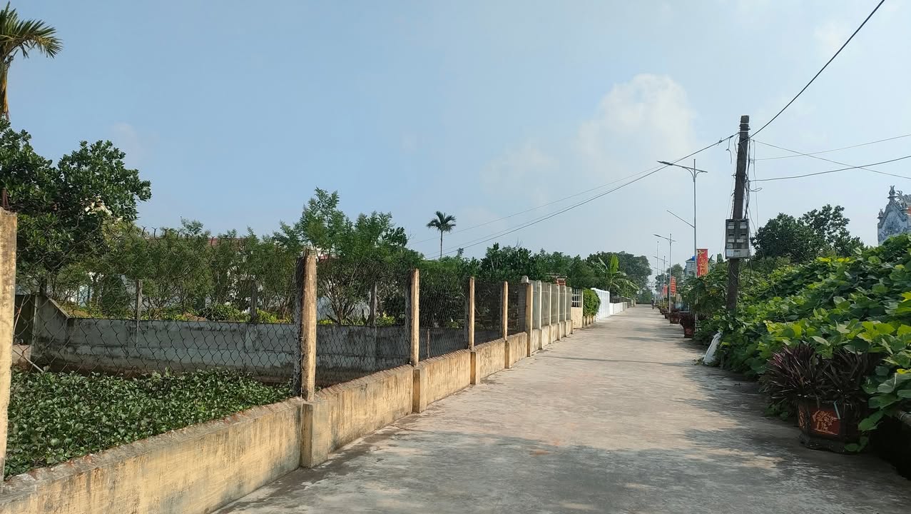 Đất nền 183m² xã Bình Hòa, Giao Thủy - Chỉ 700 triệu, đầu tư sinh lời!