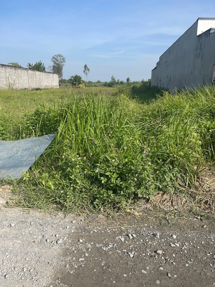 Đất thổ cư 270m² đường Tràm Lạc, Đức Hòa - Giá 1.8 tỷ, sổ đỏ chính chủ!