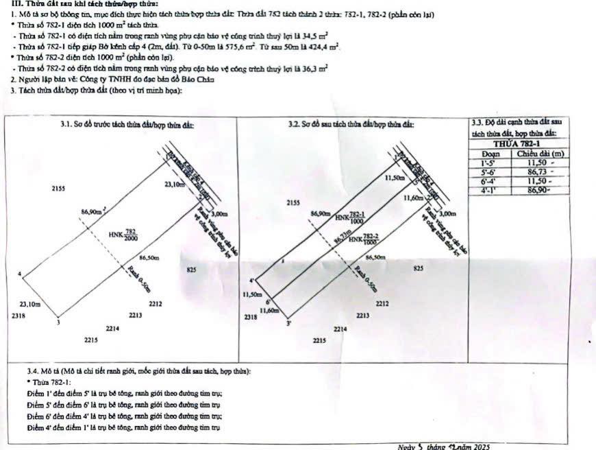 Đất nền 1000m² xã Mỹ Thạnh Thủ Thừa giá 540 triệu - Đầu tư lý tưởng!