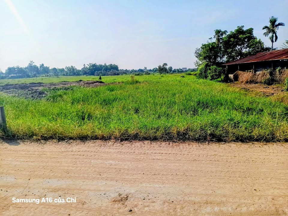 Đất thổ cư 300m² mặt tiền đường Lục Viên Đức Hòa - Giá chỉ 1.9 tỷ!