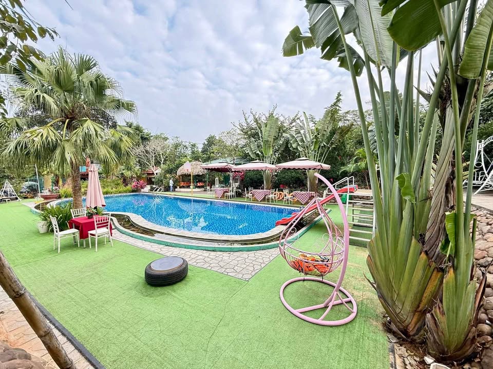 Đất Farm 4000m² tại Ba Vì - Tiềm năng khai thác lớn!