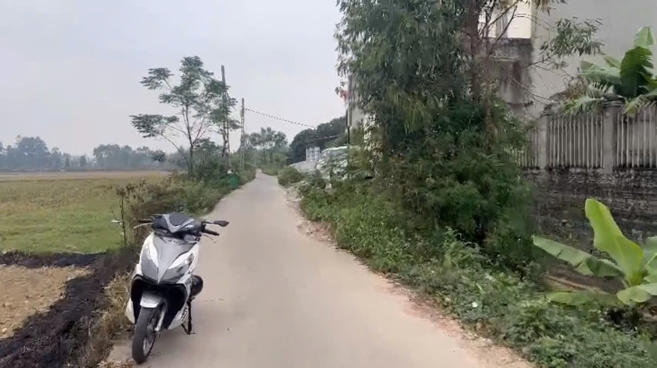 Đất nền An Thịnh Tiền Phong 104m² giá chỉ 2 tỷ - Cơ hội đầu tư lý tưởng!