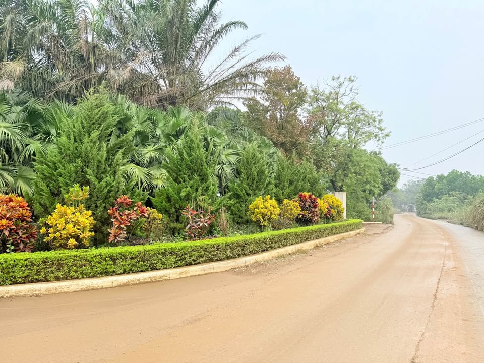 Đất nền La Saveur Resort Hòa Bình 1048m² - Cơ hội đầu tư tuyệt vời!