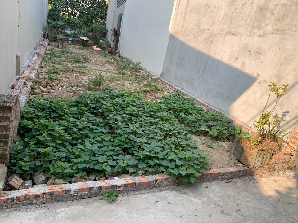 Đất thổ cư Dược Hạ, Tiên Dược, Sóc Sơn 67m² chỉ 2 tỷ - Đường thông thoáng, giao thông thuận lợi!