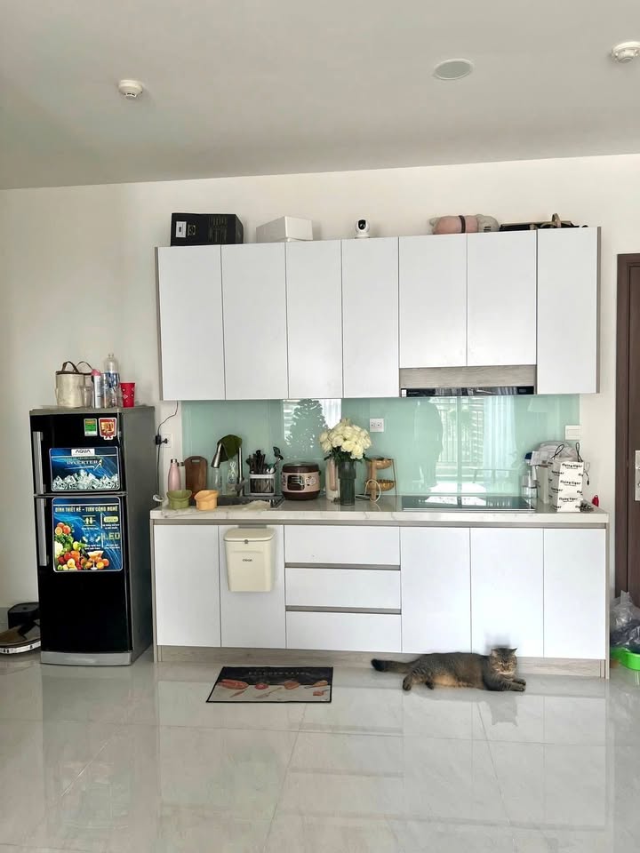 Căn hộ Sunrise Riverside Nhà Bè 57m² giá 9 triệu - Sẵn sàng cho thuê ngay!