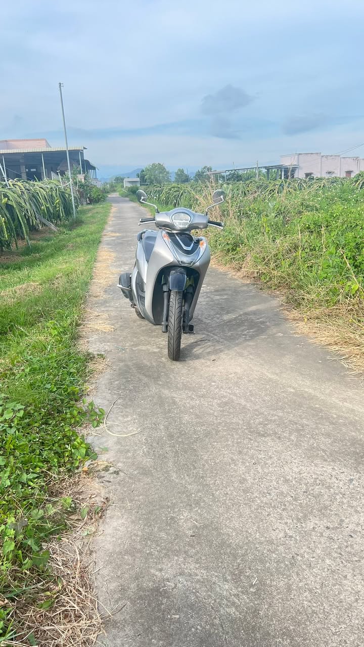 Đất nền 2 sào Phú Nhang, Hàm Hiệp, 720m² giá 720 triệu - Pháp lý rõ ràng!