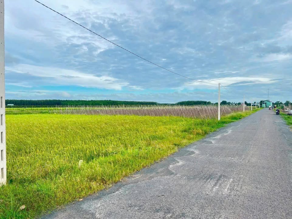 Đất nền xã Cầu Khởi, Dương Minh Châu 145m² giá 9 tỷ - Đường nhựa thông thoáng!