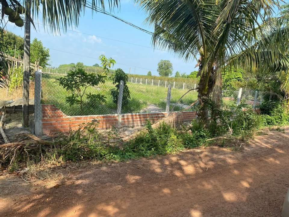 Đất chính chủ Tân Hưng, Tân Châu, Tây Ninh 1140m² giá 1.1 tỷ - View núi Bà tuyệt đẹp!