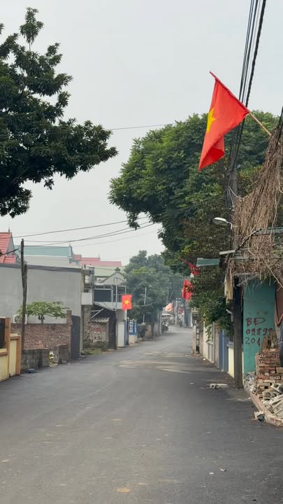 Đất thổ cư 100m² thôn Đông Hạ, xã Phú Cát, giá 4 tỷ - Đầu tư sinh lời nhanh!