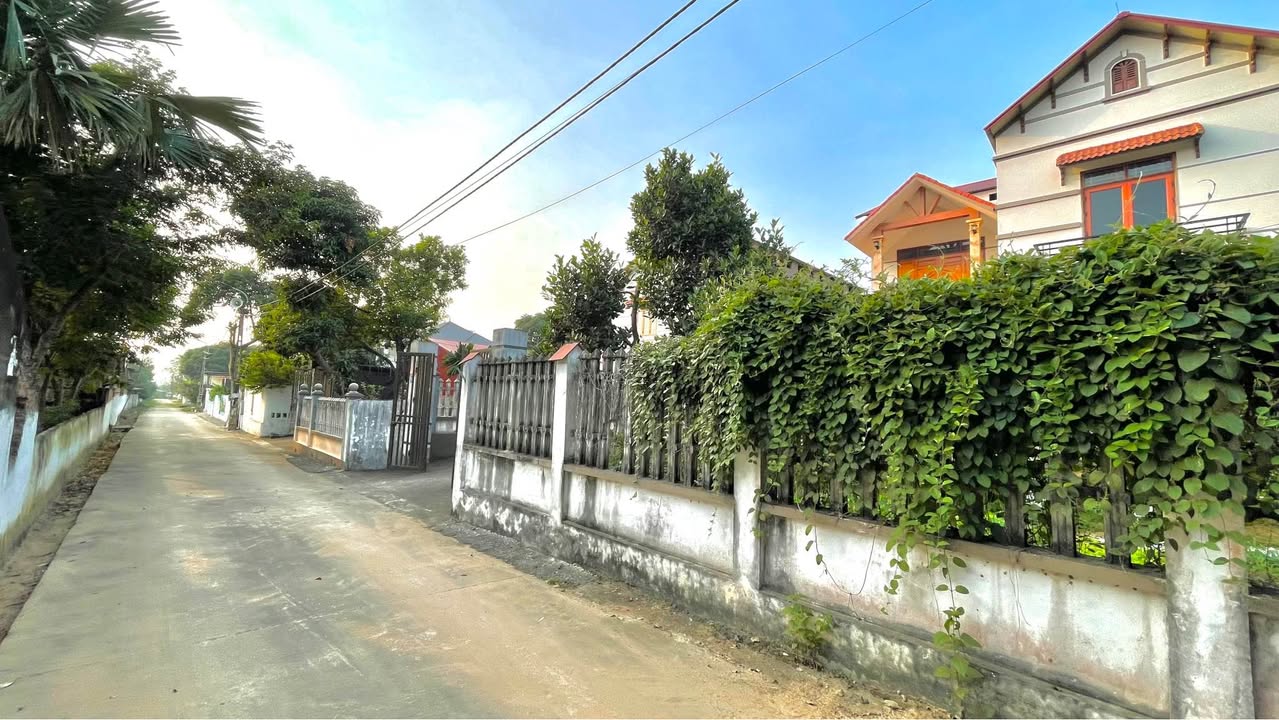 Đất thổ cư tại Thanh Vân, Tam Dương 200m² chỉ 1.2 tỷ - Đầu tư sinh lời ngay!