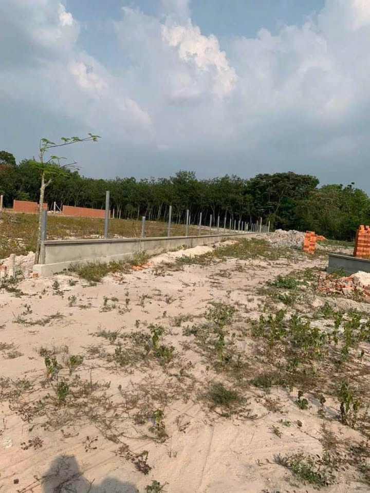 Đất nền Phường Long Nguyên 2900m² giá 1.1 tỷ - Mặt tiền giáp suối