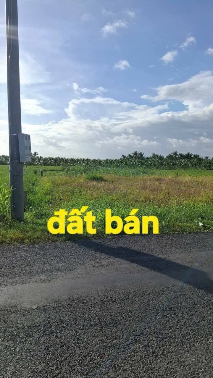 Đất nền Gò Công Tây 120m² giá 480 triệu - Đầu tư sinh lời ngay!