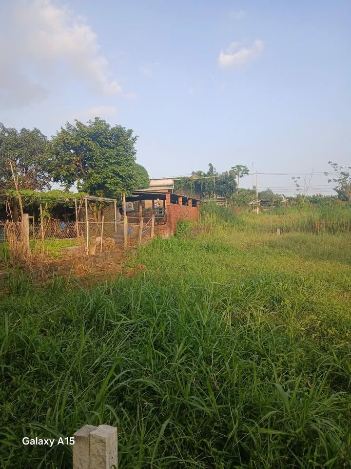 Đất nền Nghĩa Thành, Châu Đức, Bà Rịa - Vũng Tàu 132m² giá 490 triệu - Sổ đỏ chính chủ!