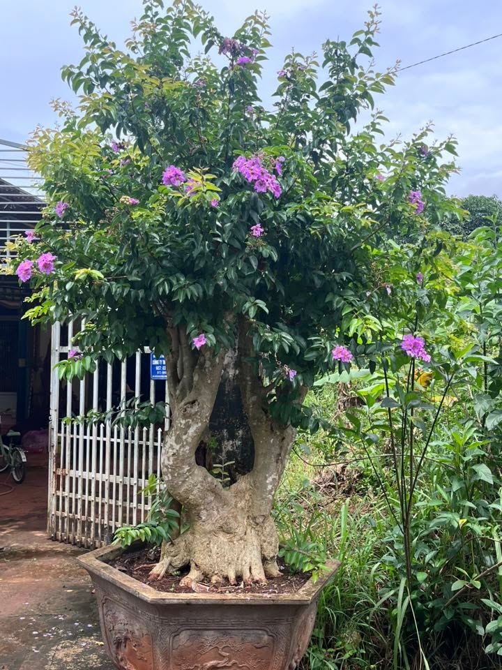 Nhà riêng Bình Long 350m² giá 2.2 tỷ - Bán gấp, thương lượng chính chủ!