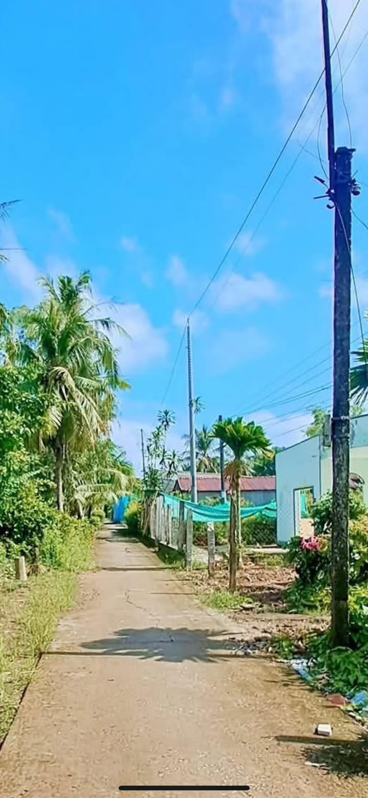 Đất nền Trường Thắng - Thới Lai 352m² giá chỉ 300 triệu - Cơ hội đầu tư tuyệt vời!