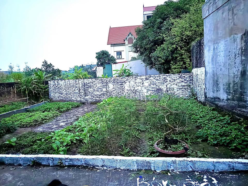 Đất nền Hồng Vân, Thường Tín 50m² giá 2 tỷ - Cơ hội đầu tư sinh lời!