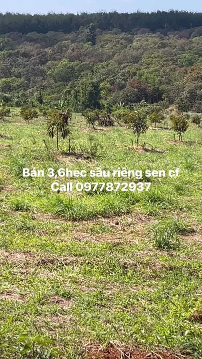 Đất nền Đăk Ơ, Bù Gia Mập 36.000m² giá 1.8 tỷ - Cơ hội đầu tư tuyệt vời!