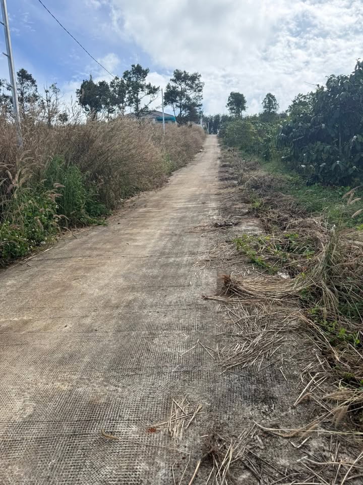 Đất nền đẹp 928.25m² tại Đắk Wer, Đắk Nông - Giá chỉ 340 triệu, bớt lộc!