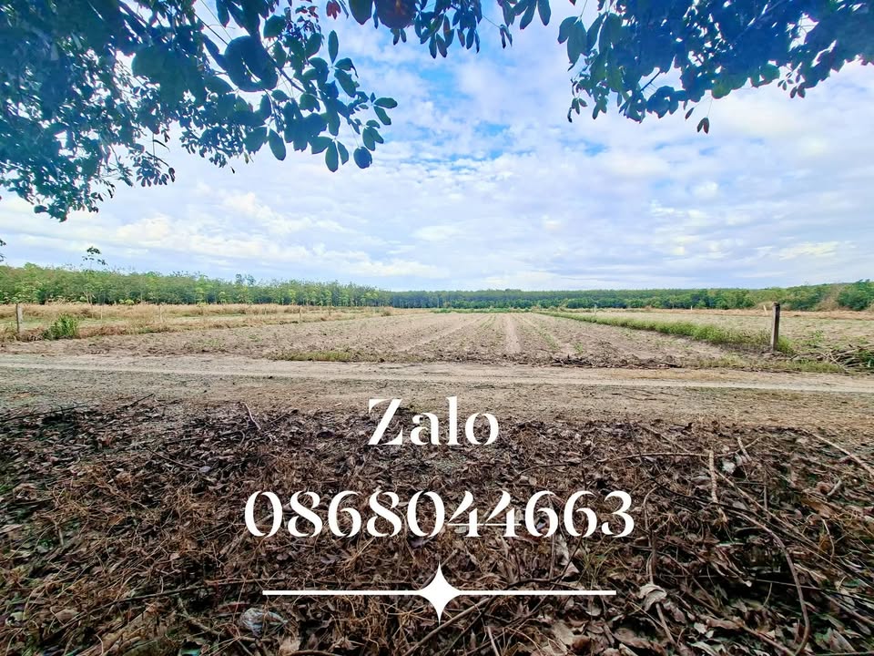 Đất nền Tân Hiệp - Phú Giáo 1.100m² giá 850 triệu - Đầu tư sinh lời ngay!