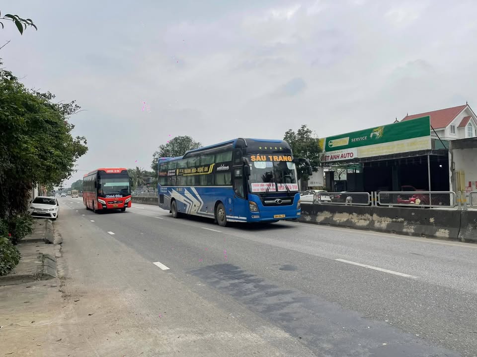 Bán gấp mặt tiền Quốc Lộ 1A, Quỳnh Hậu 259m² - Cơ hội đầu tư sinh lời hiếm có!