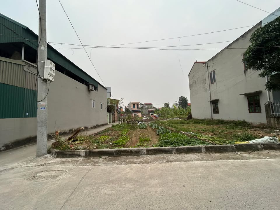 Đất nền Quang Tiến, Sóc Sơn 110m² giá thỏa thuận - Lô góc 3 mặt thoáng hiếm có!