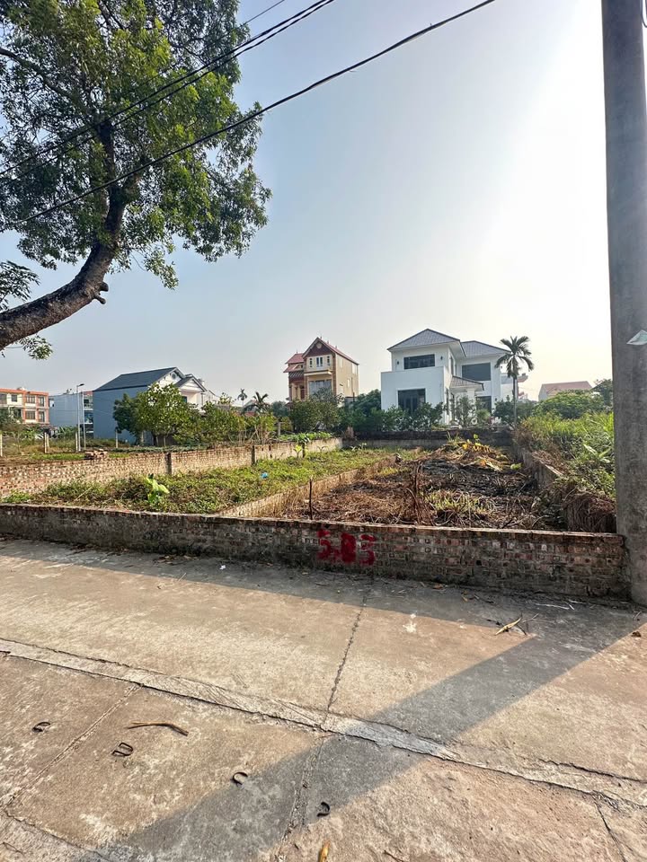 Đất nền Tiến Thắng, Mê Linh 112m² giá thỏa thuận - Cơ hội đầu tư sinh lời!