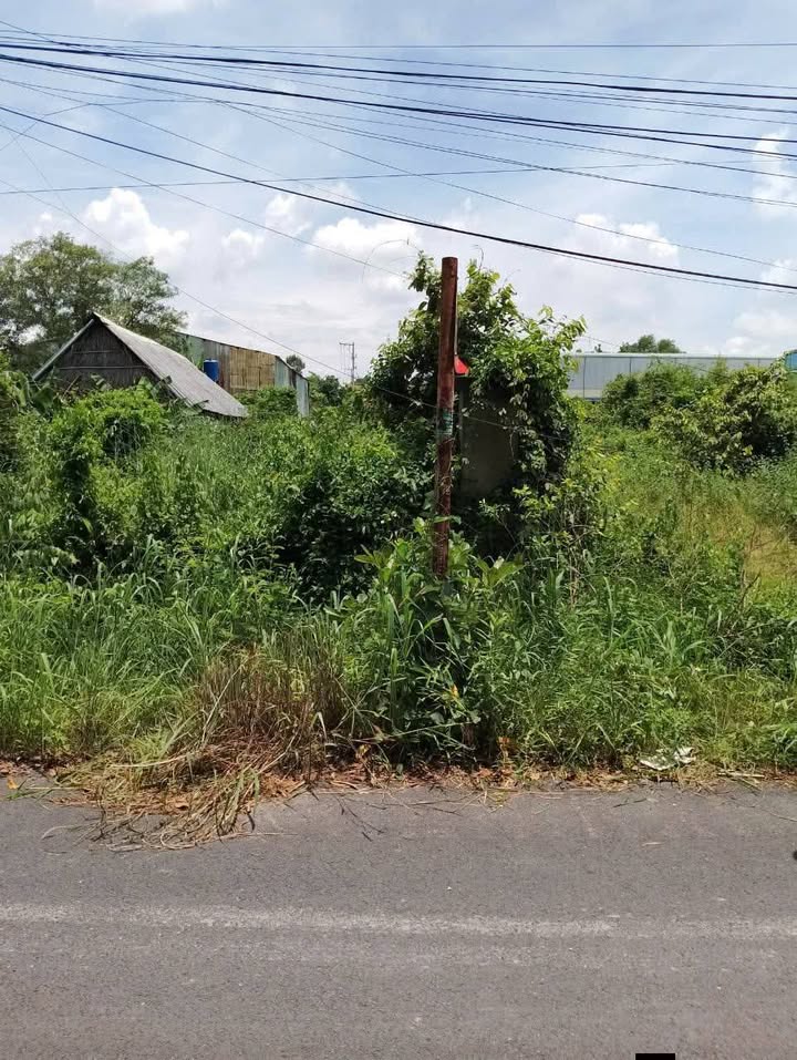 Đất mặt tiền đường nhựa Phước Vĩnh An Củ Chi 4200m² - Giá chỉ 6 triệu/m², Thương lượng trực tiếp!