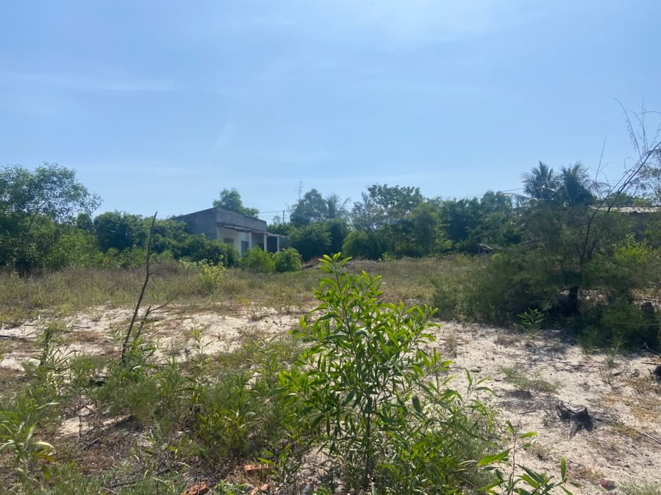 Đất nền 4056m² tại Xuân Hải, Phú Yên giá 11 tỷ - Đầu tư sinh lời lý tưởng!
