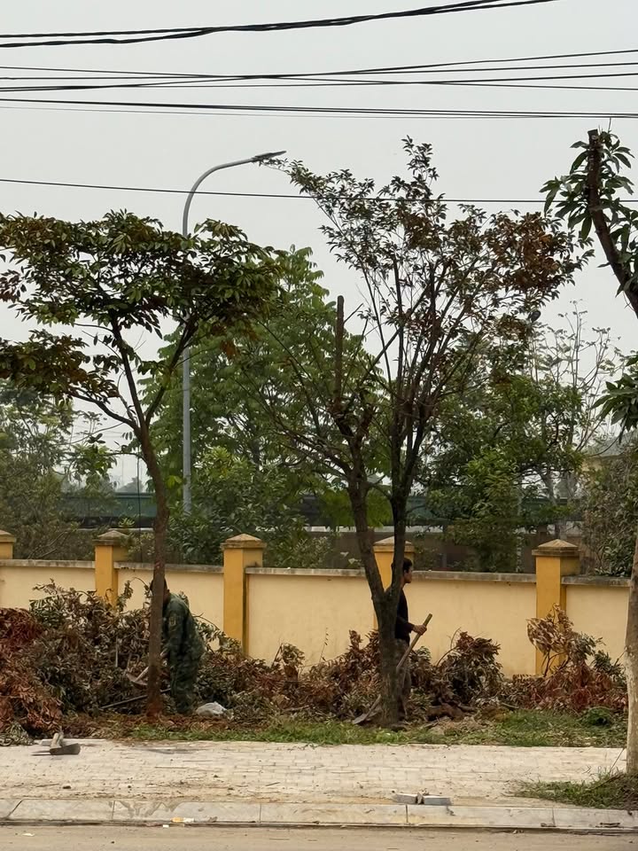 Đất thổ cư 100m² đường Âu Cơ, phường Thanh Vinh - Giá chỉ 600 triệu!