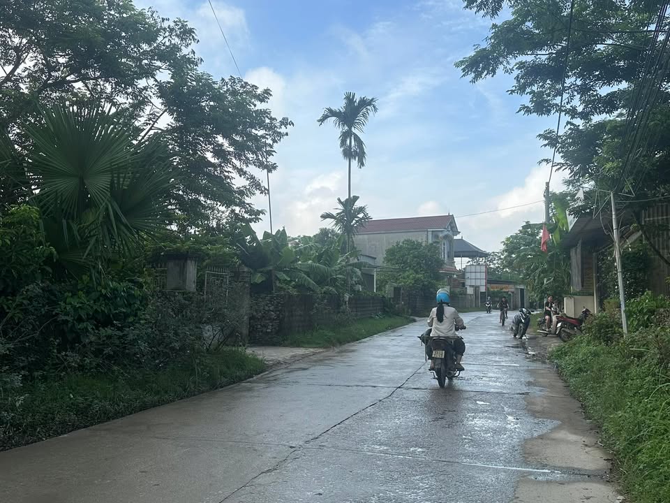 Đất nền xã Liên Sơn, Lương Sơn, Hòa Bình 100m² giá 100 triệu - Đầu tư sinh lời ngay!