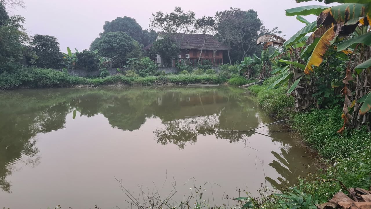 Đất nền xã Hòa Sơn, Lương Sơn 4000m² giá tốt - Tiềm năng nghỉ dưỡng lý tưởng!