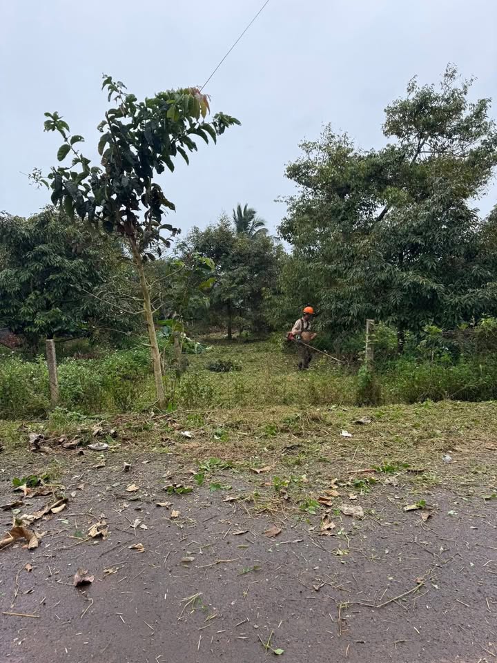 Đất nền đường Nguyễn Cư Trinh, phường Thiện An, 175m² giá 1.289 tỷ - Sổ đỏ chính chủ!