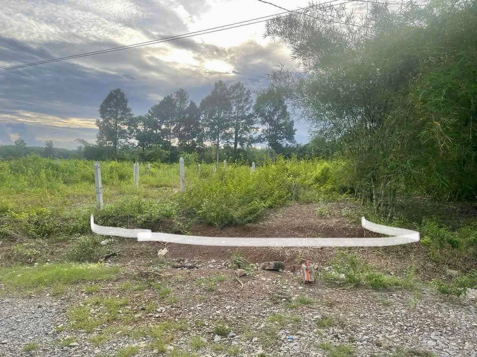 Đất nền An Linh Phú Giáo 2565m² giá 420 triệu - Mặt tiền đường lớn!