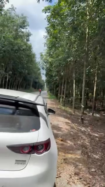 Đất nền đường DH511, xã Tân Hiệp, huyện Phú Giáo, 30m² - Cơ hội đầu tư hấp dẫn!