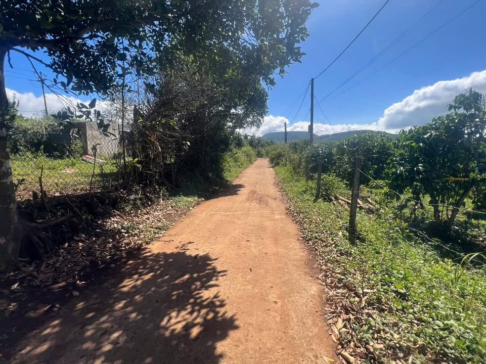 Đất nền view ruộng Chi Lăng 260m² giá 800 triệu - Cơ hội đầu tư sinh lời