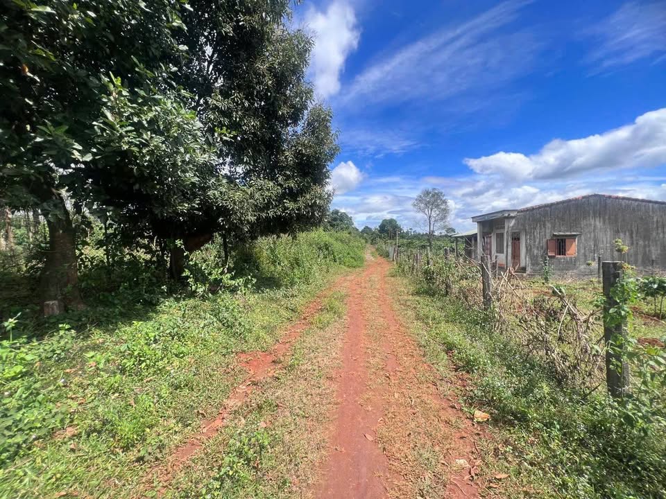 Đất nền xã Gào, Pleiku 600m² giá 400 triệu - Đầu tư sinh lời ngay!