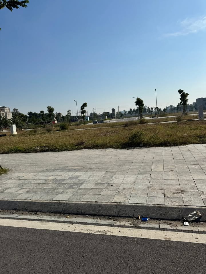 Đất nền dự án Tân Mĩ - Avenue 80m² giá 3.6 tỷ - Đầu tư sinh lời ngay!