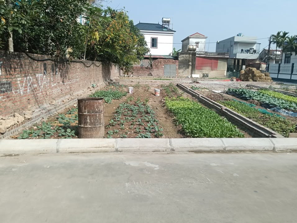 Đất nền kinh doanh Đông Lai, Sóc Sơn 102m² - Vị trí đẹp, đầu tư sinh lời!