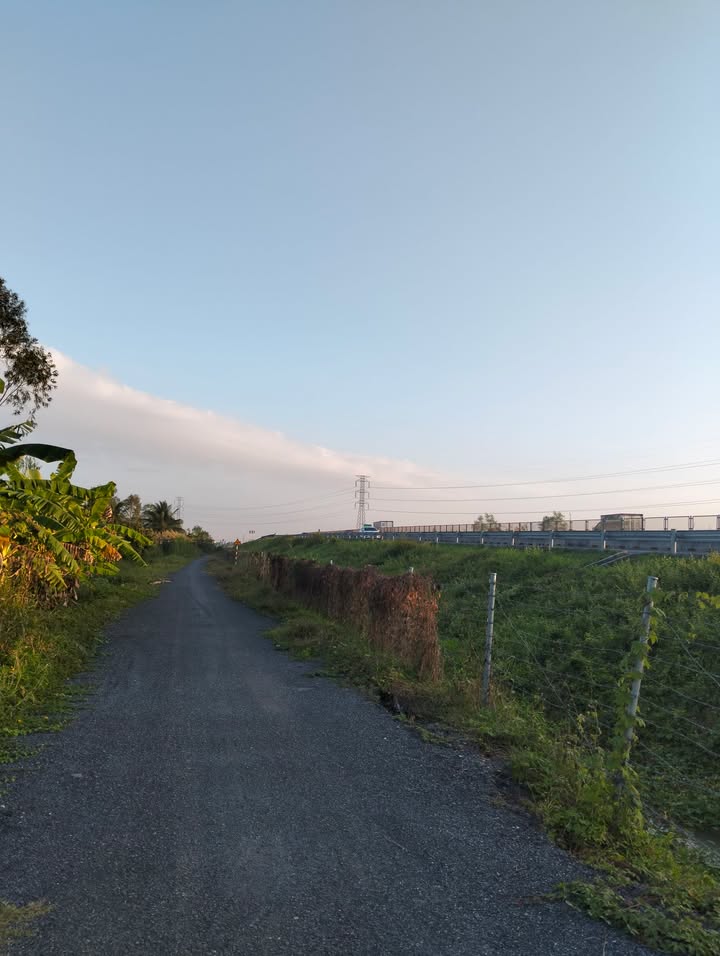 Đất thổ cư 1000m² tại xã Tân Ngãi, Vĩnh Long giá 1.4 tỷ - Cơ hội đầu tư sinh lời!