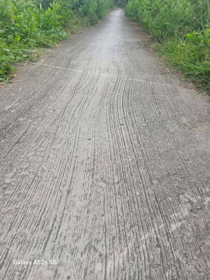 Đất nền xã Tân Long Hội, Vĩnh Long 120m² giá 220 triệu - Cơ hội đầu tư hấp dẫn!